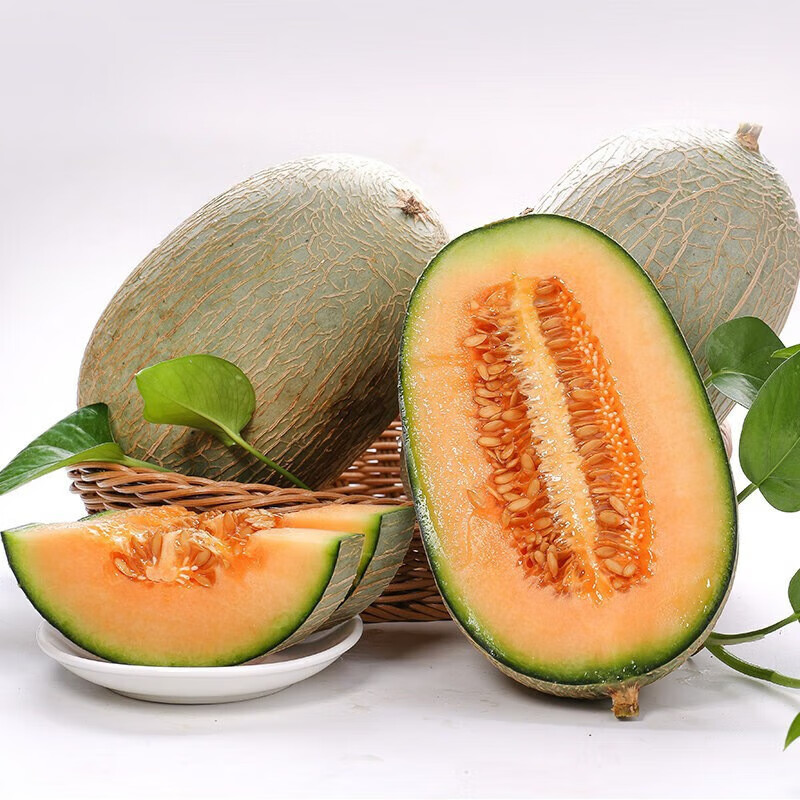 【精选直发】晓蜜西州蜜香甜蜜瓜新鲜水果 3斤 单果1kg+