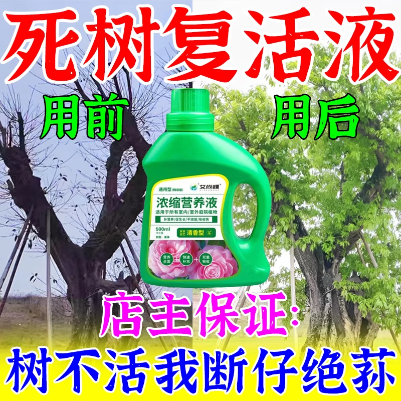 死樹50年一滴救活大樹成活營養(yǎng)液枯樹爛根黃葉爛苗生根專用復(fù)活劑 買2送1【當晚發(fā)芽】