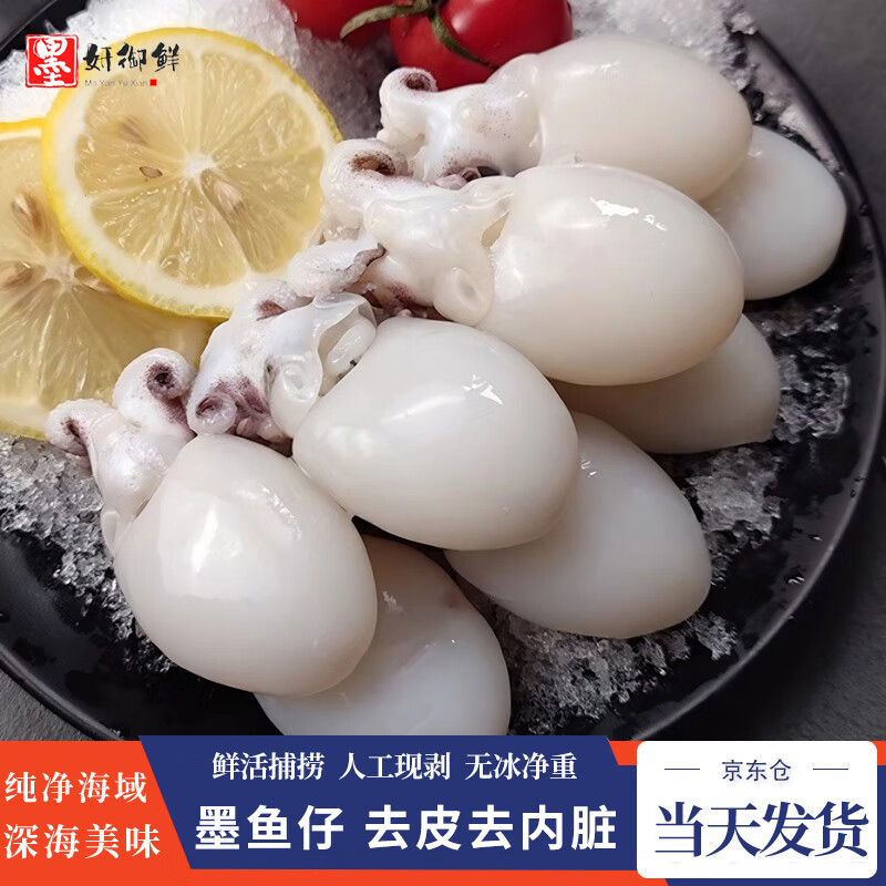 墨妍御鮮墨魚仔 新鮮免處理冷凍小墨魚無冰鮮活冷凍烏賊小魷魚撈汁小海鮮 墨魚仔 10斤(凈重)  20-30只/斤