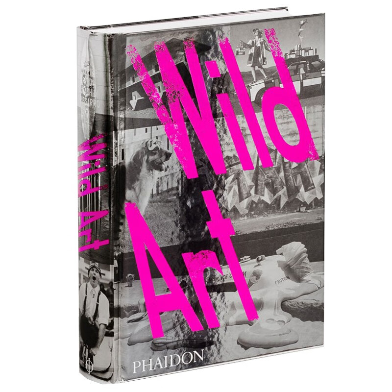 预订Wild art 野生艺术 现代艺术 街头涂鸦艺术 地下艺术 出人意料的作品集 艺术书籍【下架】
