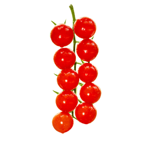 ������ �����̸۴���С���� ����2�� ����ɿڴ��۶�֭ 22.99Ԫ