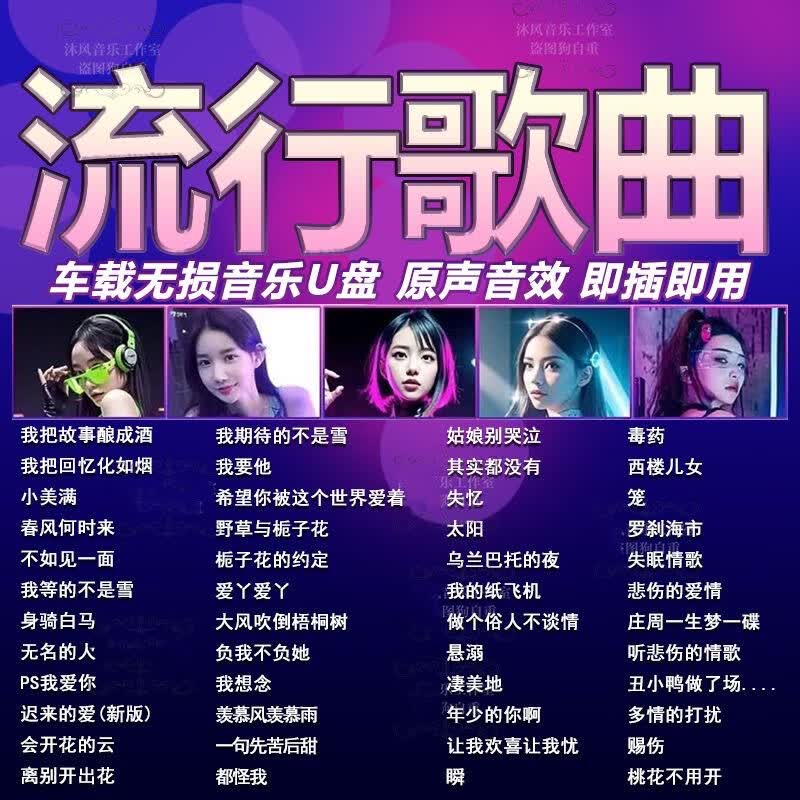 程驼（CHENGTUO）汽车载u盘无损高音质2024抖音新歌曲dj音乐优盘车用音响热歌MP4 无损音质歌曲无损音质 1MB