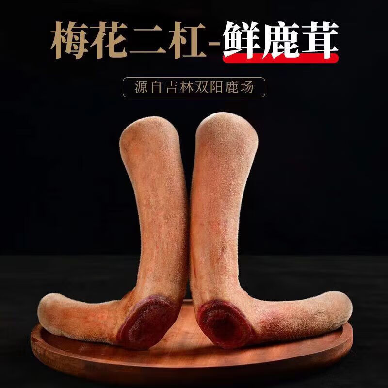 CLCEY双阳鹿场新鲜现割头茬二杠梅花鹿鹿茸整根鹿茸泡酒含血高货礼盒装 二杠整枝600g( 礼盒装可备注连刀切) 1支*1盒