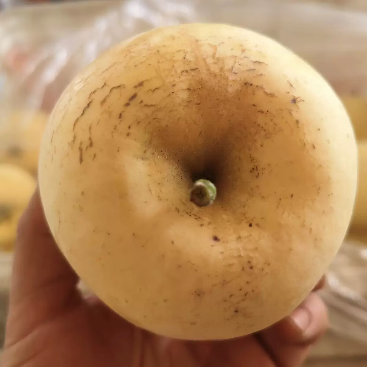 佑嘉木（BlessedWood）山东黄金维纳斯苹果甜脆多汁现摘新鲜水果生鲜 单果75-80mm（10-12枚）净4.5斤