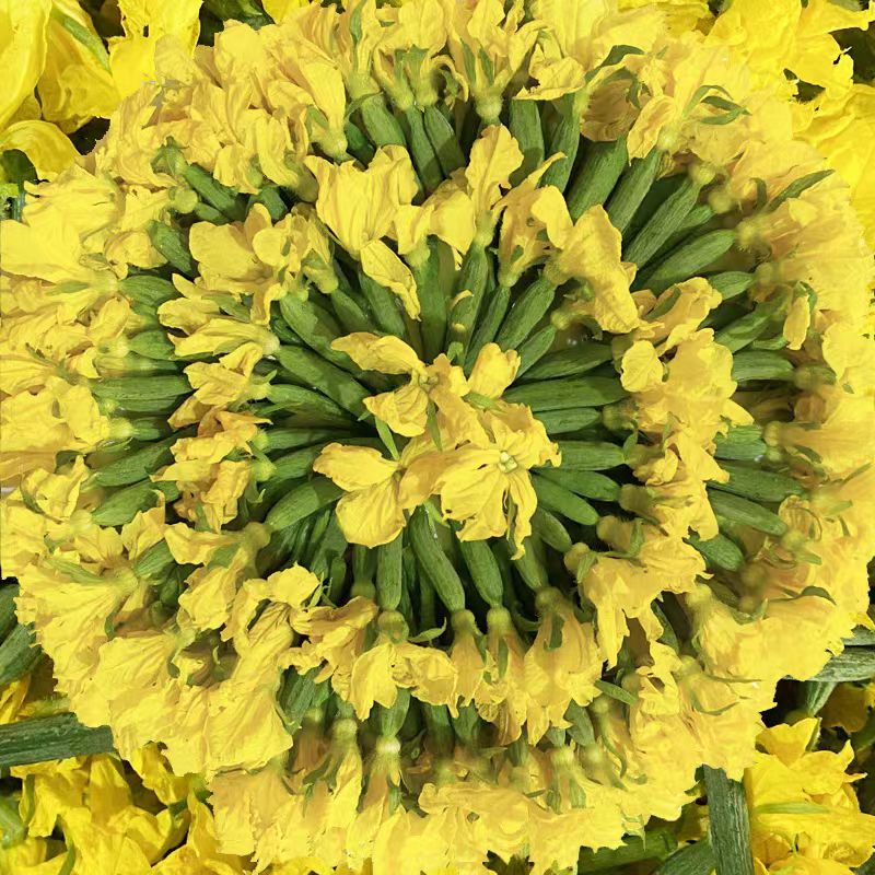 风筝王【顺丰】黄瓜花 新鲜小黄瓜花 青瓜花 特嫩水果黄瓜顶花 黄瓜仔 现摘黄瓜花 3斤