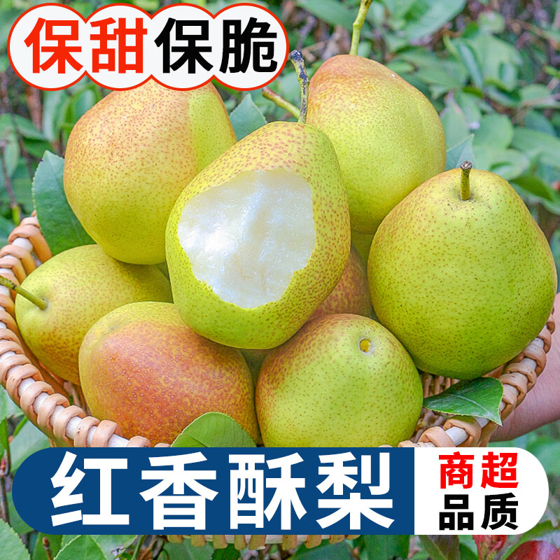 紅香酥梨梨子新鮮水果應(yīng)季整箱香梨脆甜 3斤