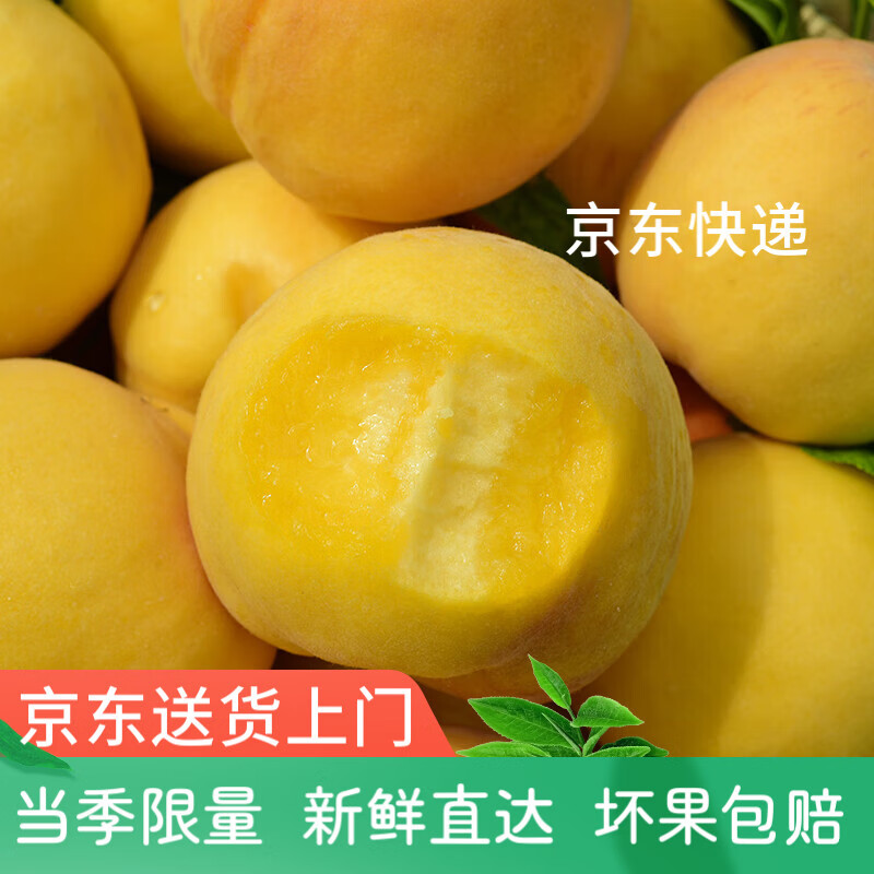 桃李村黃桃新鮮水果河北錦繡桃子應(yīng)當(dāng)孕婦大果時(shí)令蜜桃脆桃整箱 精選5斤