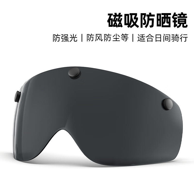 迅霆ZX21自行车头盔镜片专用磁吸骑行眼镜 磁吸【变色镜】