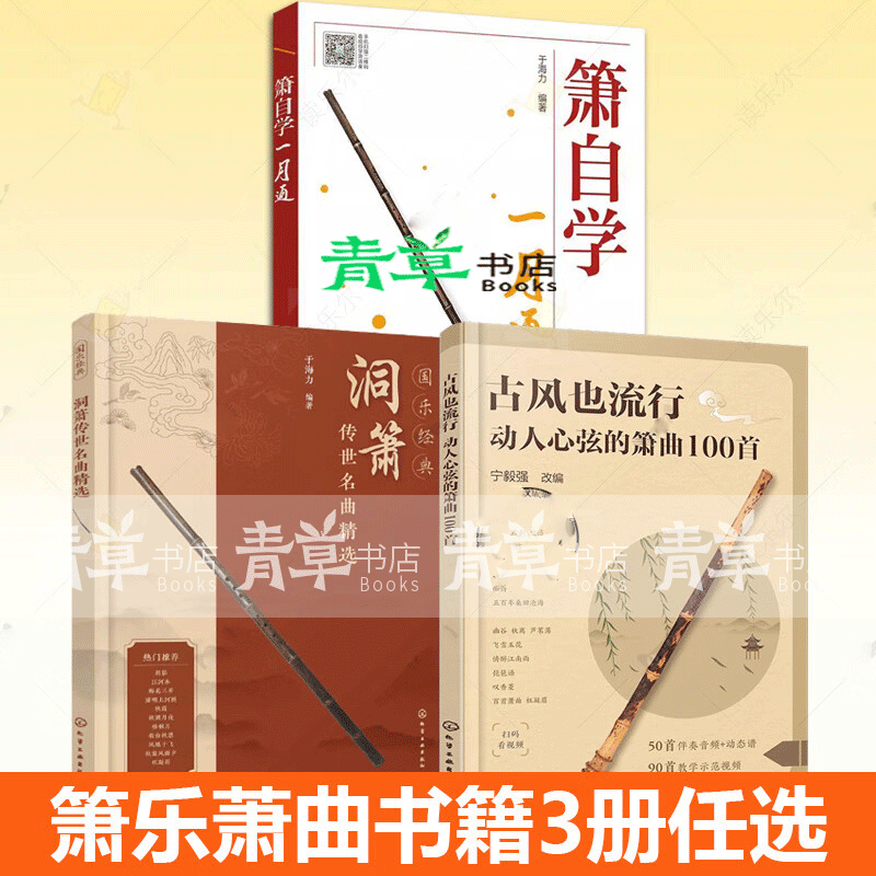 3册 国乐经典 洞箫传世名曲精选+古风也流行 动人心弦的箫曲100首+箫自学一月通 箫吹奏方法 洞箫 3册