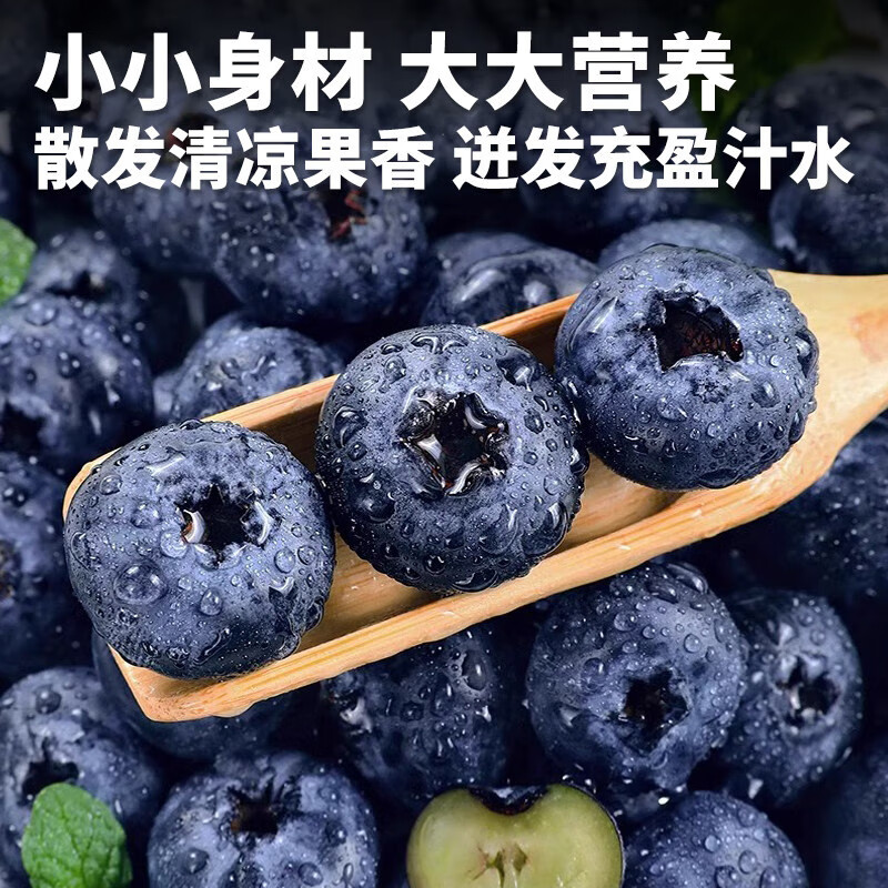 【JD/顺丰】云南高山蓝莓新鲜水果当季现摘2盒~6盒现摘鲜果整箱 中大果(果径18mm+) 6盒(总净重≥720g)