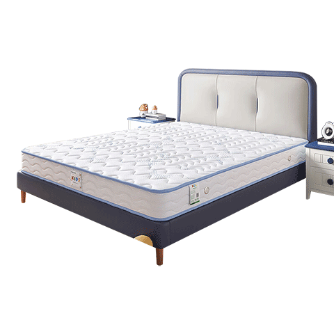 ȫ�ѼҾ� ��ͯ��������־������껤����������ɴ����к�Ů������ 704.95Ԫ(������)