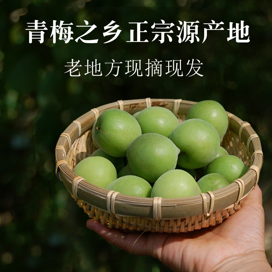 奧睿辰正宗原產(chǎn)地 新鮮青梅脆口大青梅白梅青竹梅泡酒酵素孕婦水果 夠酸 青梅5斤裝(大果熱賣中)