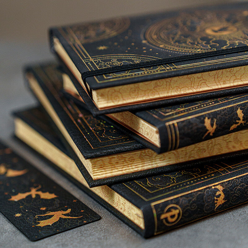 paperblanks佩兰克笔记本本子第四翼手账本手帐本2025年新款文创品送男生生日礼物高档文具礼品 【硬壳绑带款】中本/空白