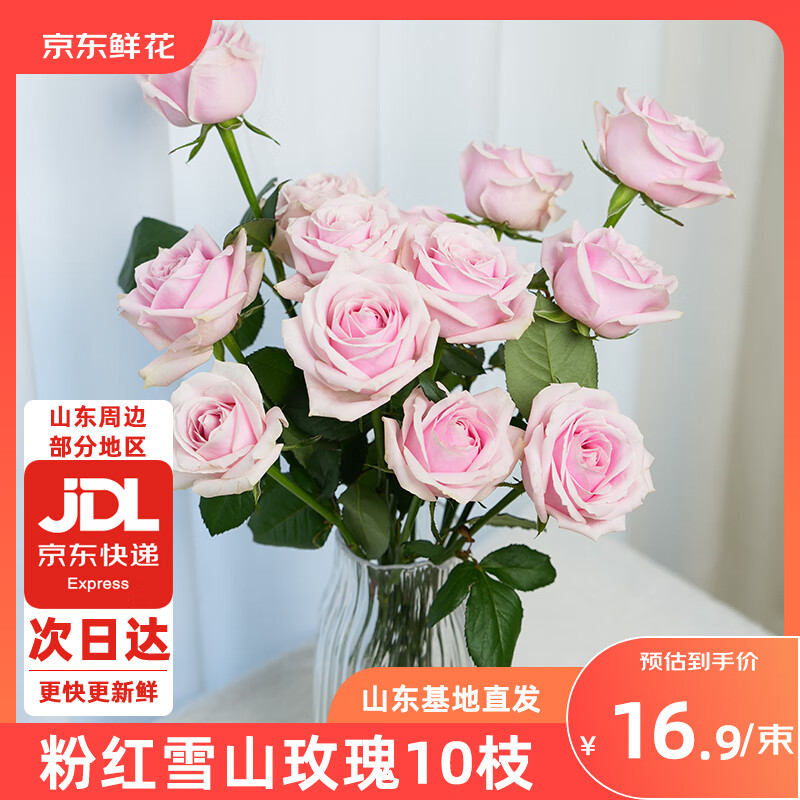 �����ʻ�õ�廨�ۺ�ѩɽ10֧֦��40cm��������ɽ������Դͷֱ��