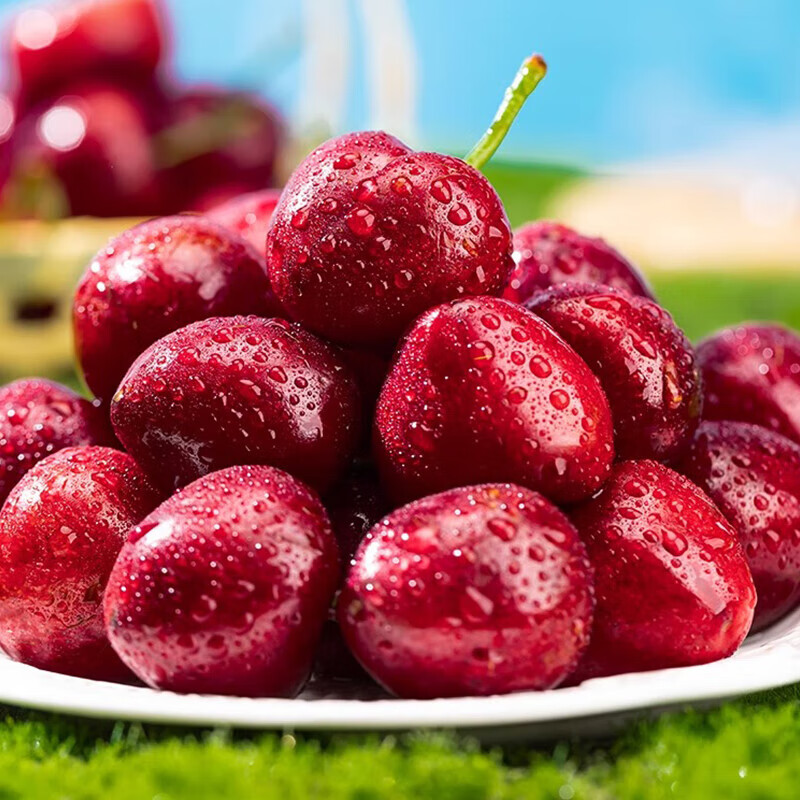 护山人【头茬预定】山东大樱桃国产车厘子新鲜水果 时令生鲜水果端午节 4斤(净重)  23-26mm