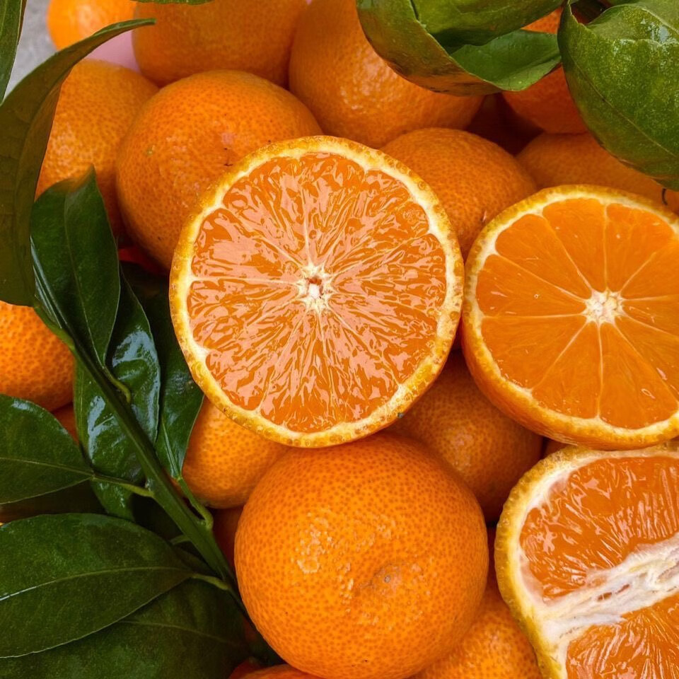 松林美果四川越丑越甜的黄果柑丑橘子新鲜应季孕妇水果 净重8.5斤中大果【黄果柑】