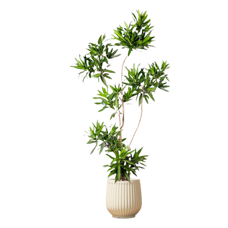 ���Űٺ������԰칫���ڿ����ڼ��������ʹ�����ֲ��1.4m����Դͷֱ�� 453.42Ԫ