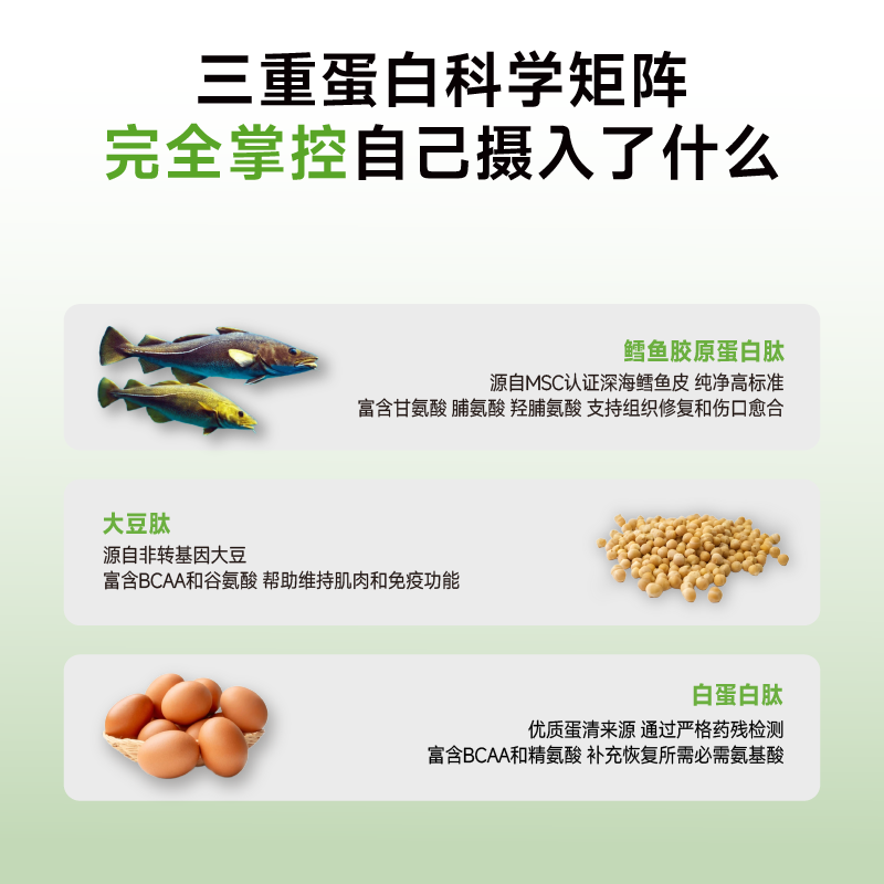 REVITAMAX睿维达RP-100蛋白粉 小分子肽90%高蛋白 术后恢复老年人免疫支持无糖0脂 【7天用量】1盒礼盒装