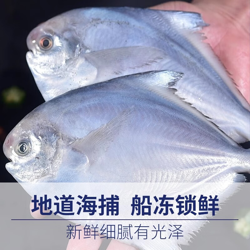 ��ܽ ������ 4�7-9��/����� ����� �䶳���� 54.9Ԫ