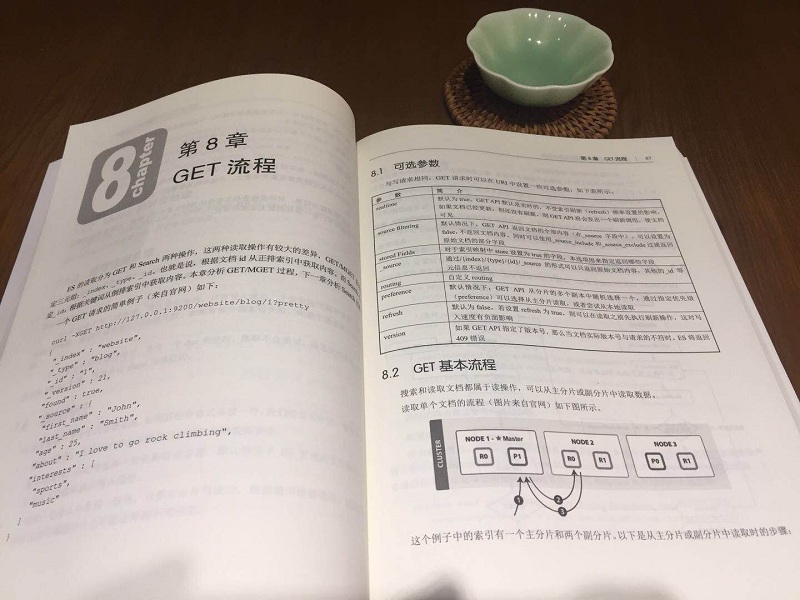 Elasticsearch源码解析与优化实战(博文视点出品)详情图