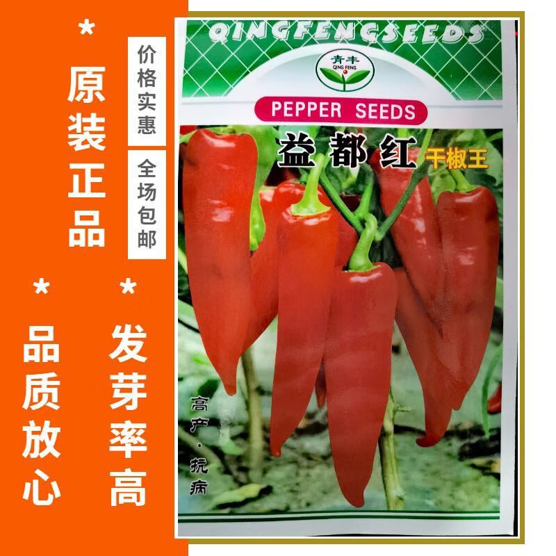益都红辣椒种子红干椒辣椒种春秋季红辣椒籽阳台盆栽庭院蔬菜种孑