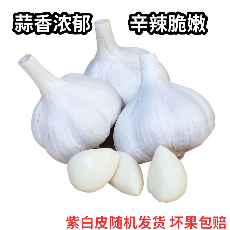 产品包装