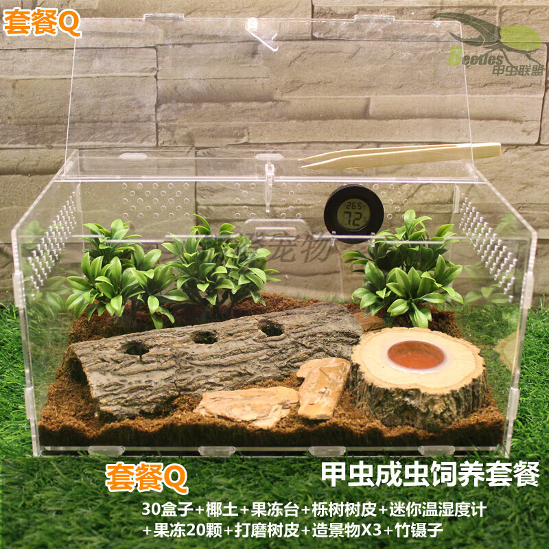 獨(dú)角仙成蟲甲蟲爬寵飼養(yǎng)套餐亞克力透明盒鍬形蟲守宮蜘蛛飼養(yǎng)箱 亞克力套餐Q