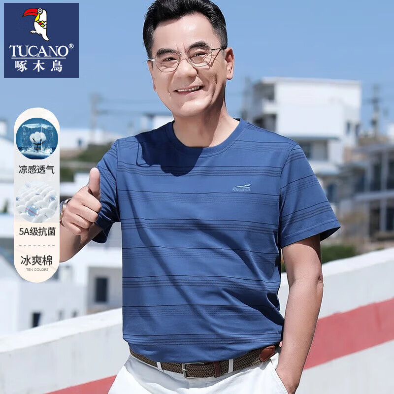 啄木鸟（TUCANO）爸爸夏装短袖t恤男夏季中年男士丝光棉t恤中老年男装条纹上衣男 R539蓝色 2XL /180【建议150-165斤】