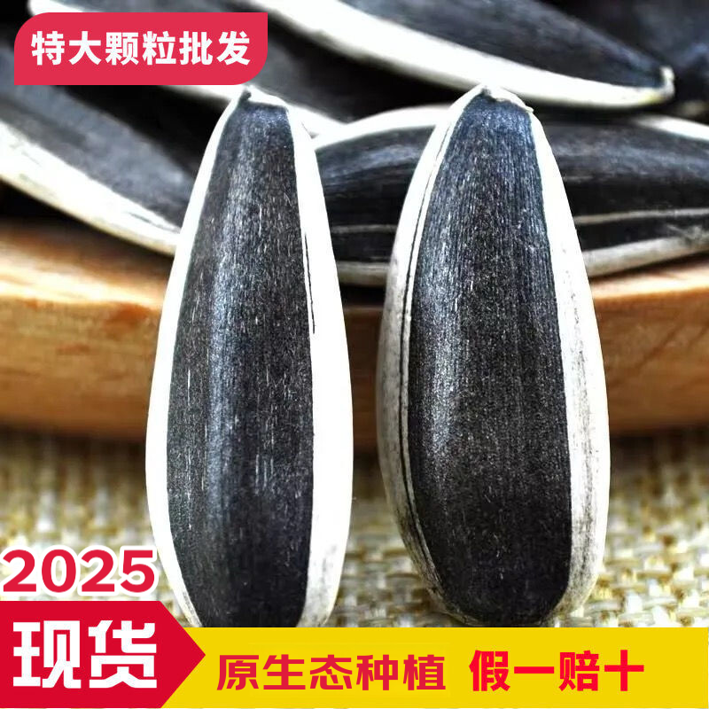 内蒙古新货特大生瓜品种363子葵花籽瓜子大颗粒原味香瓜子炒货 买3斤+2斤共5斤【好厂家好品质】 363生瓜子【超大粒粒饱满】