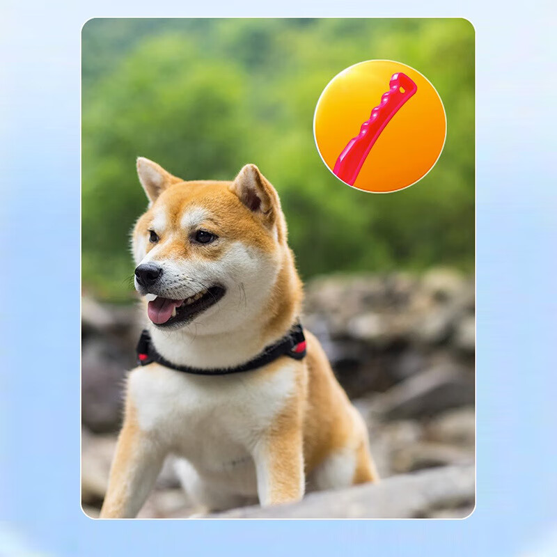 【优选好物】宠物抛球杆扔球器投球玩具狗狗猫咪互动捡球宠物玩具 蓝 短柄【约38cm】