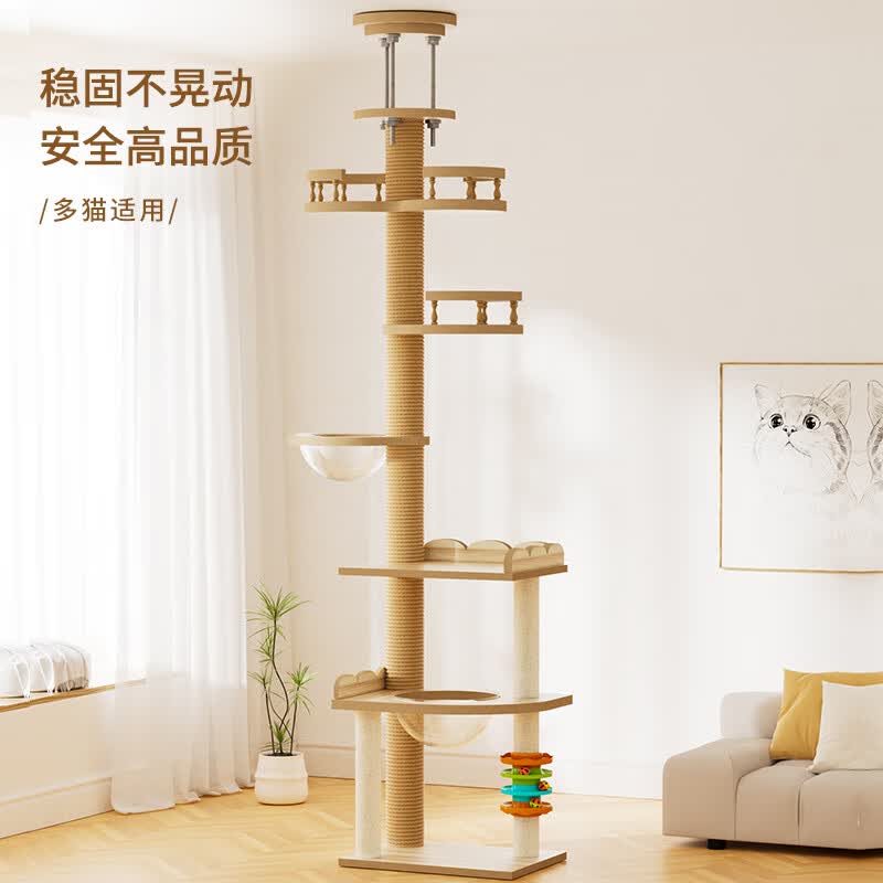 ���׼���ͨ����è���ܶ�������è��è����˯һ��С���Ͳ�ռ�ط�ʵľè���� �ײ�MT-4[����2.5-2.8��] 204Ԫ