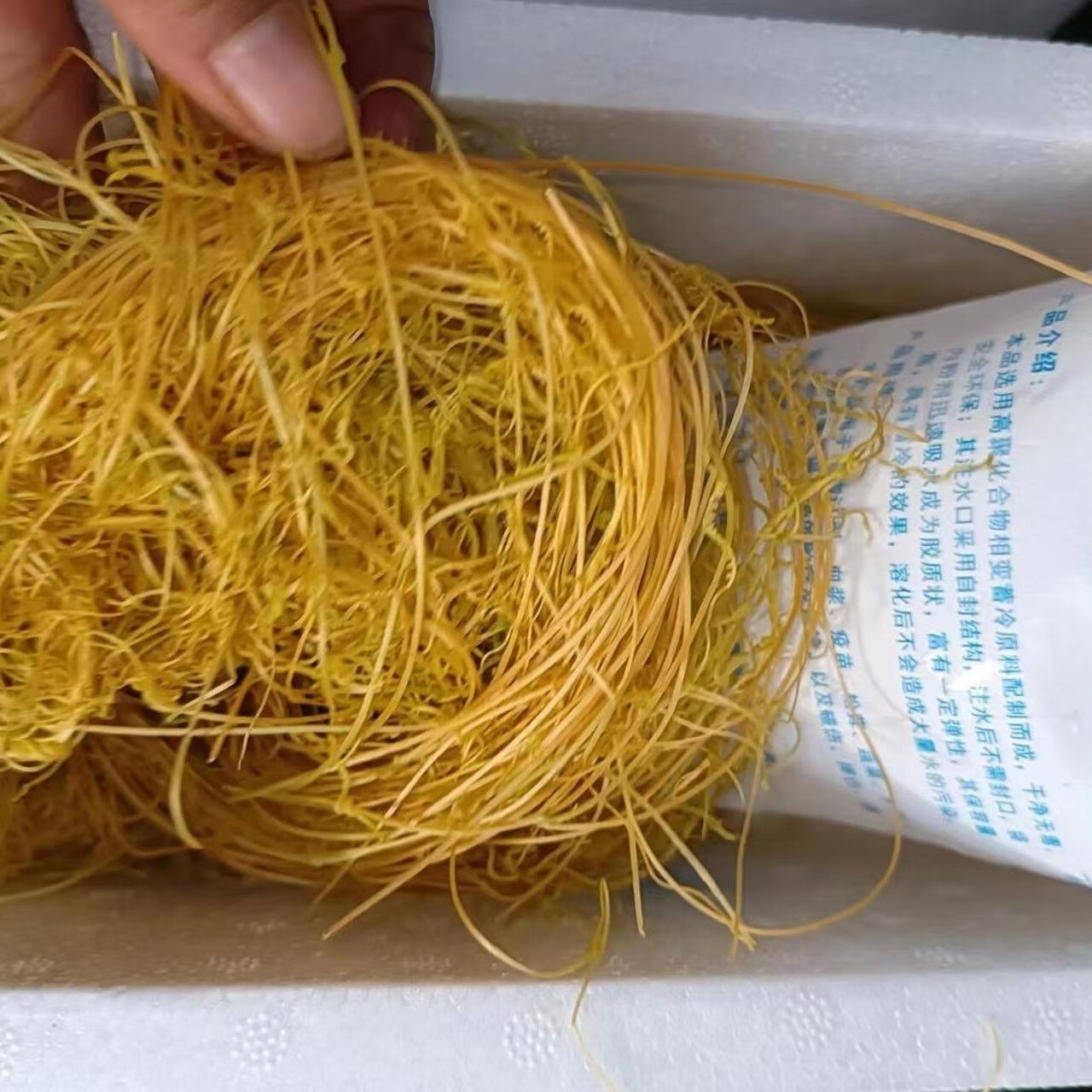 新鲜中药材菟丝子无娘藤金丝藤豆寄生黄丝无根草菟丝藤中药材 新鲜