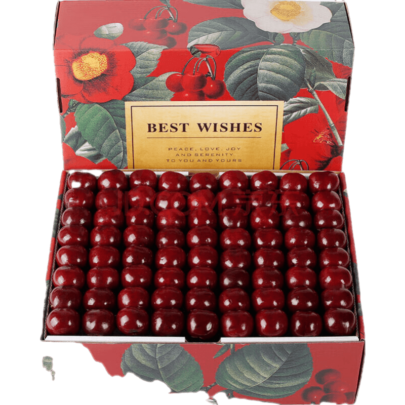 ���չ� �������ڳ�����ӣ�� XL�� 1.6�ﾻ�� ����24-26mm 48.8Ԫ