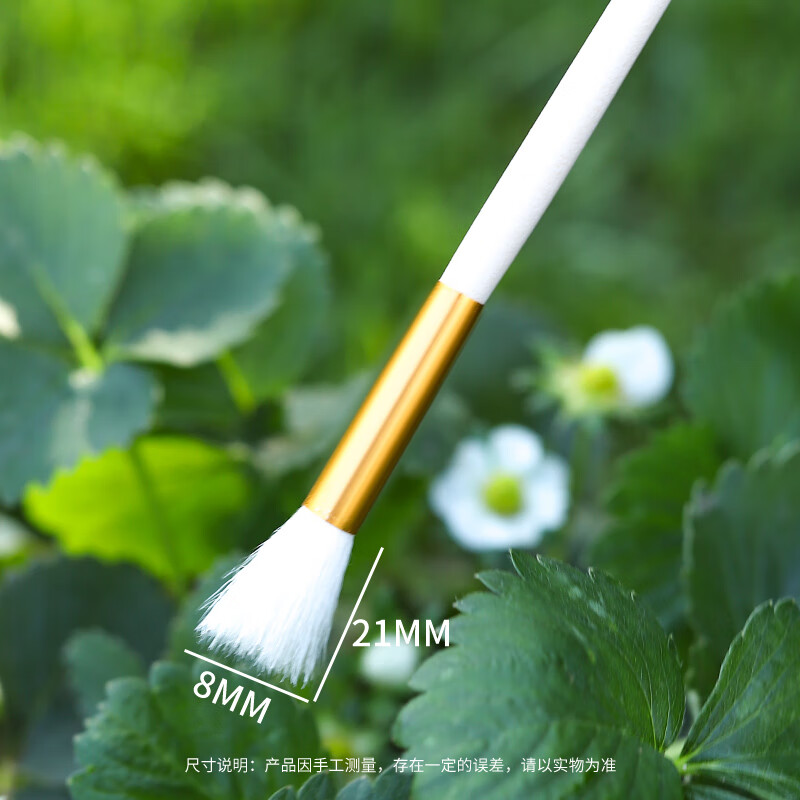 西樂人工授粉筆授粉器草莓多肉西紅柿無(wú)花果樹授粉工具花粉點(diǎn)花授粉刷 4號(hào)筆-1只 無(wú)規(guī)格