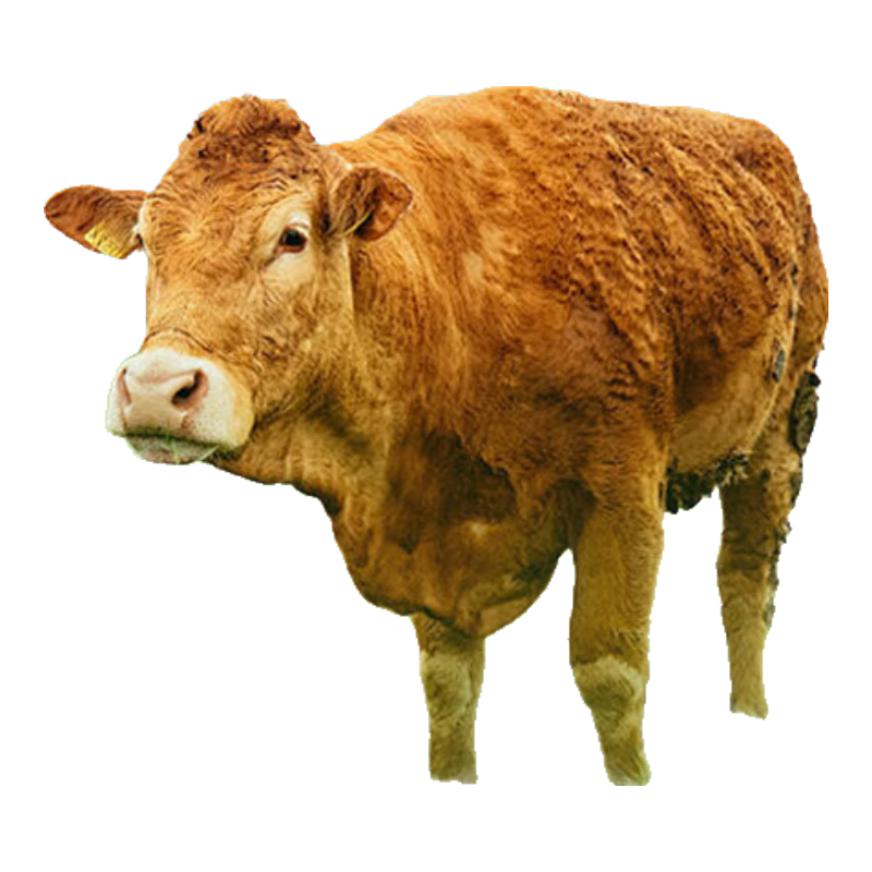 鋒衛(wèi)牛羊馬定位器 gps畜牧防丟追蹤跟蹤器太陽能動物監(jiān)控山區(qū)放牧專用 2萬毫安+5G太陽能+防水防拆