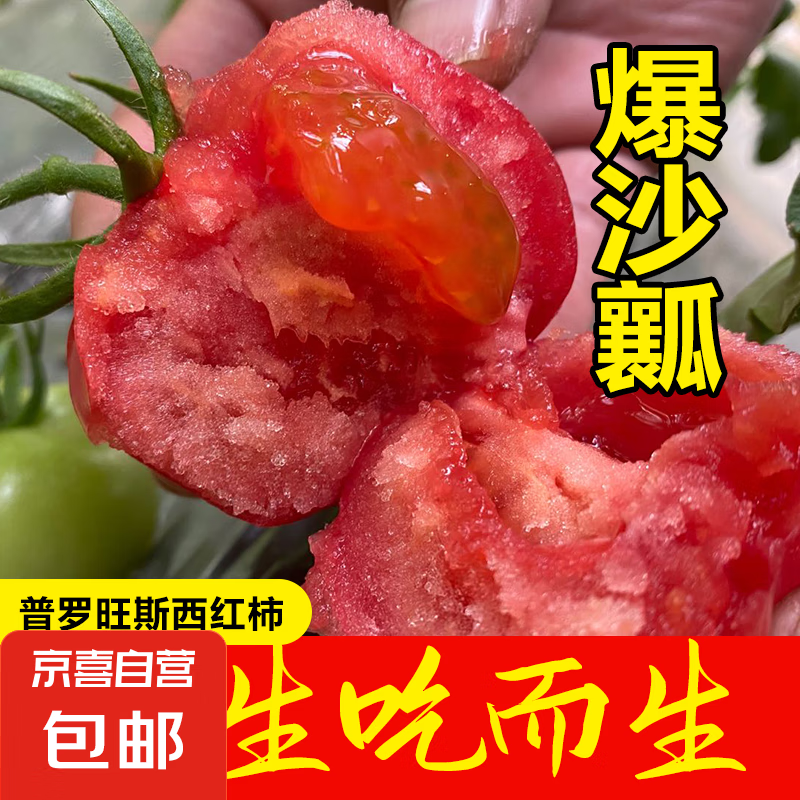 正宗水果番茄沙瓤西红柿农家自种新鲜自然熟头茬生吃柿子现 带箱2斤装单果150g+