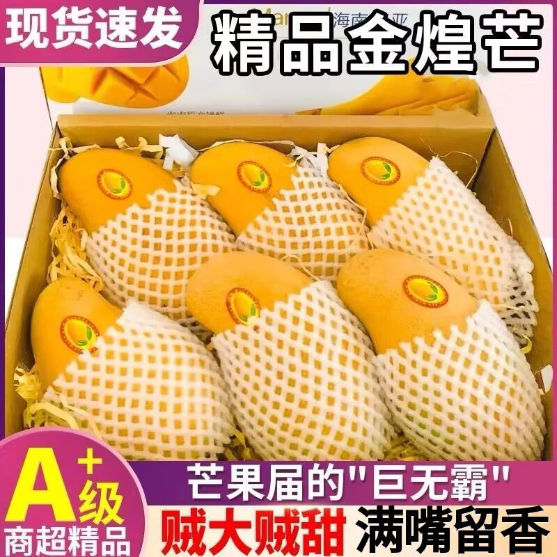 三萌果蔬新鲜金煌芒 广西现摘青皮热带大芒果孕妇水果节日送礼 尝鲜3斤装【单果150g+】净重2.5斤