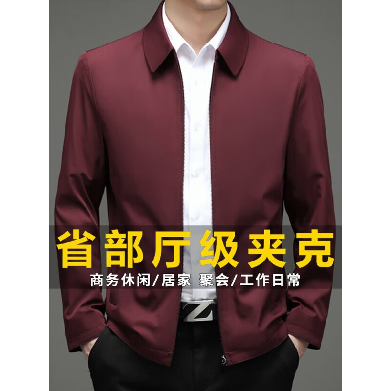 皮尔卡丹行政夹克男外套春秋新款商务休闲领导干部厅局风公务青年上衣男装 豆绿 XL 175【100-120斤】