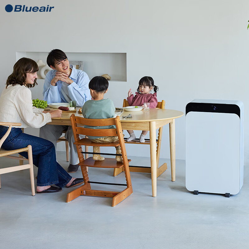 布鲁雅尔（Blueair）【家电国家补贴】空气净化器 CP9i 大空间除甲醛除菌除霾除过敏原异味 烟味 家用卧室空气净化机 CP9i