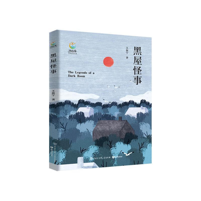 致青春中国青少年成长书系：黑屋怪事 知识出版社9787521503203 文学书籍