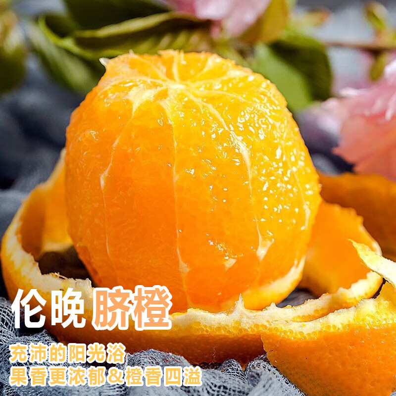 秭归脐橙湖北伦晚果冻橙子 新鲜当季时令水果 酸甜可口产地直发 净重3斤【单果100g-140g】