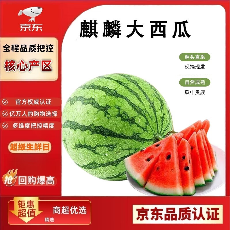 闽农语果麒麟西瓜新鲜采摘超值新鲜水果当季现摘正宗生鲜瓜水果大西瓜 特大果7斤 | 多层保护 | 净重7-8斤 【源头直发】