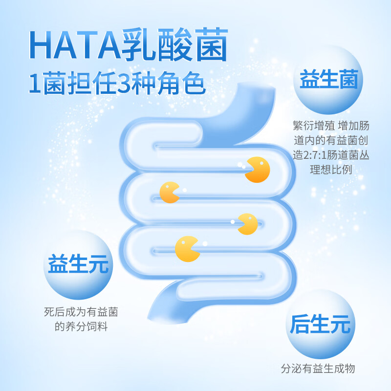 H&W HEALTH&WISDOM乳酸菌粉便秘调理肠道肠胃活性益生菌蔓越莓双歧杆菌备孕试管人群 每日乳酸菌 2g*30袋