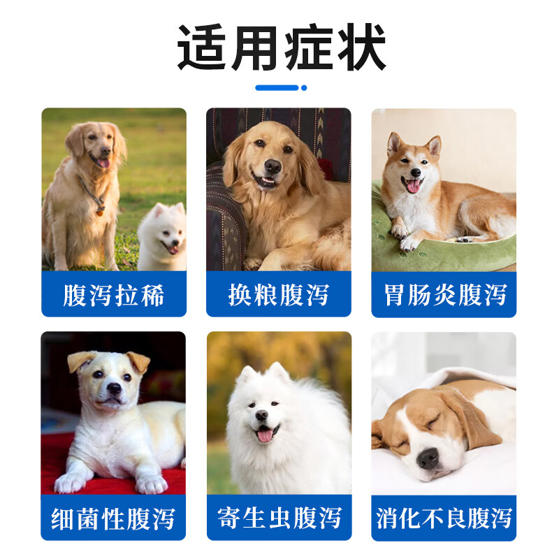 宠康源碱式碳酸铋片宠物狗狗拉肚子止泻药幼小犬呕吐拉稀腹泻血便金毛 胃肠炎呕吐腹泻套餐