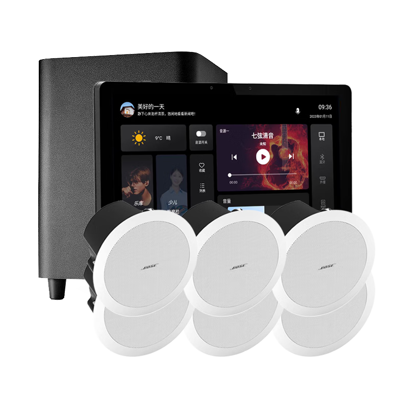 Bose吸頂音響家庭背景音樂(lè )套裝WIFI智能家庭影院音響組合嵌入式音箱主機藍牙 吸頂音箱6只+定制P10主機HOPE+低音HOPE