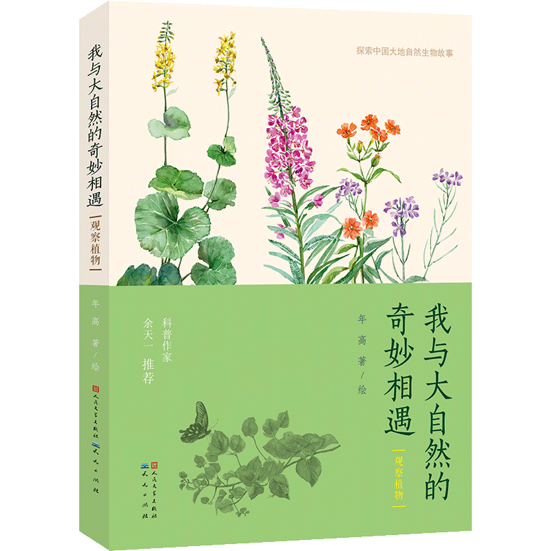 观察植物（一套原创儿童自然博物美文,探索中国大地生物故事，感受中国城市植物之美，从独特角度理解故乡，拉近孩子与大自然的距离，8-14岁适读）