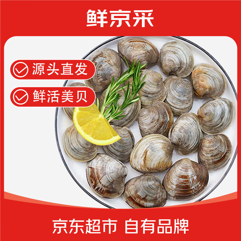 鲜京采 鲜活美贝 17-22粒/斤 净重5斤 蛤蜊花蛤生鲜海鲜 源头直发