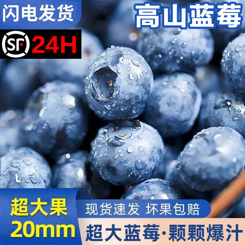 速发蓝莓鲜果新鲜高端水果当季怡颗高山L25花香孕妇整箱礼盒顺丰 巨无霸果王 22-25mm 丨稀有果王 4盒【单盒125g】