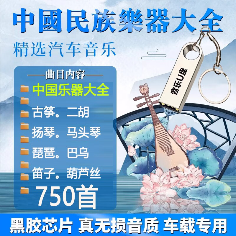 VYOPBC乐器大全纯音乐轻音乐中国民乐车载u盘MP3 古筝马头琴二胡优盘16g 750首 16GB