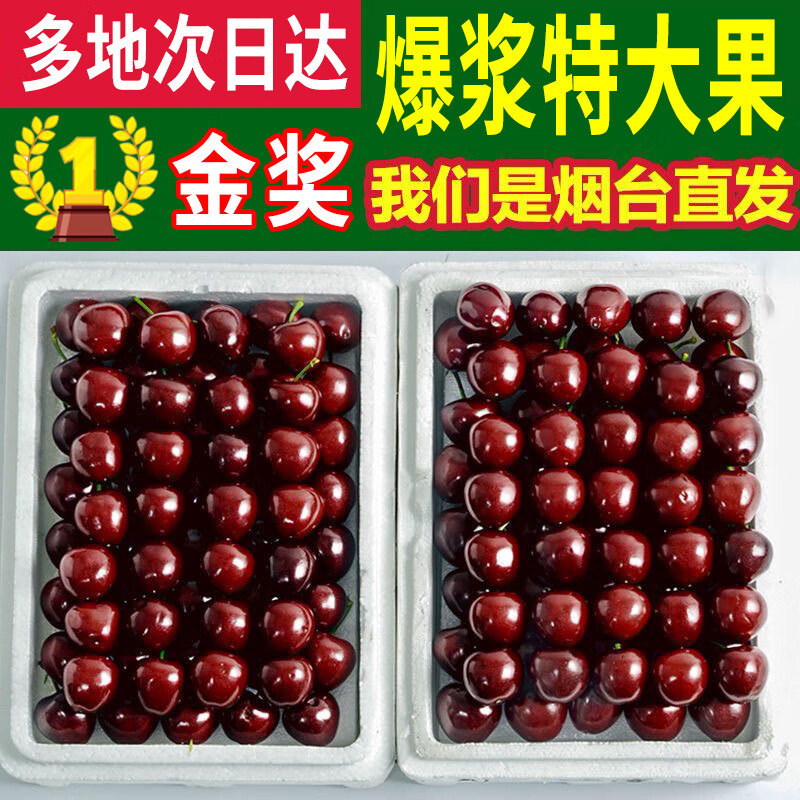 樱桃小口YS【多地次日达】山东烟台大樱桃冷链送新鲜礼盒水果国产车厘子 4.5斤(净重)  店主推荐 巨无霸【一口爆汁】 28-30mm
